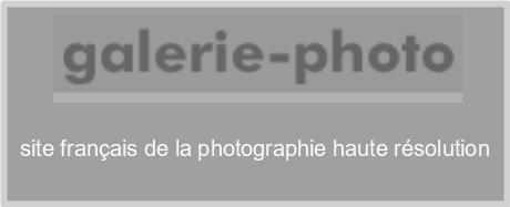 Galeriephoto